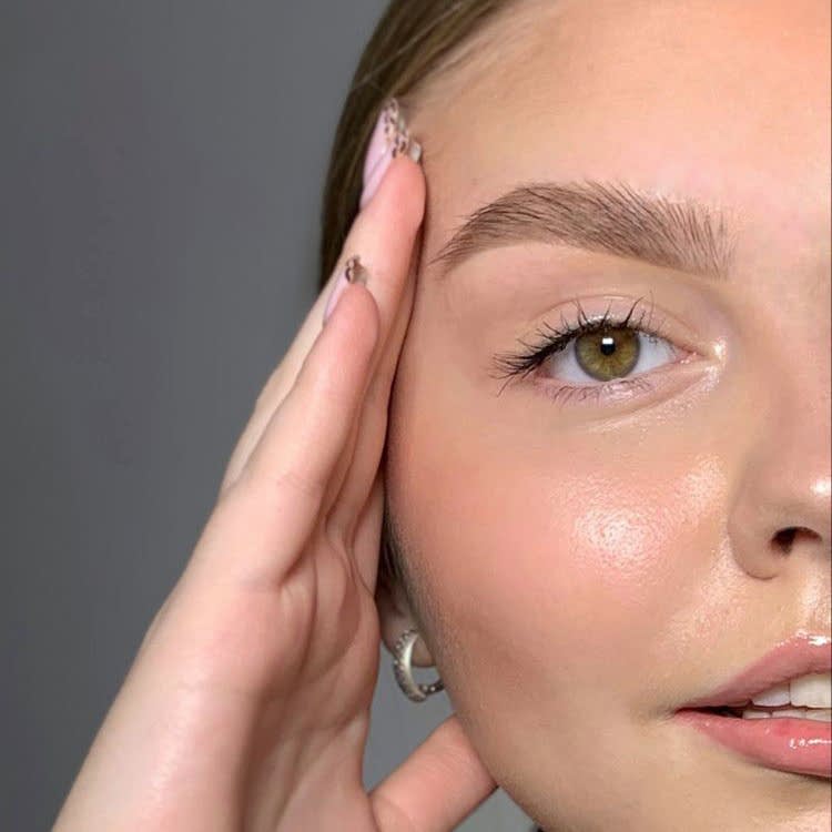 Базовый курс Бровист